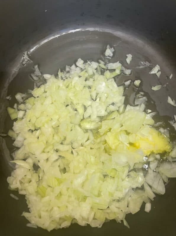 Onions in ghee and oil in pot