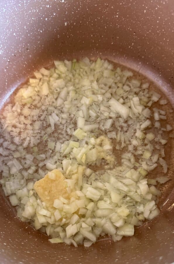 Onion, Garlic and Oil in pot