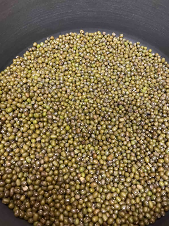 Moong beans in pot