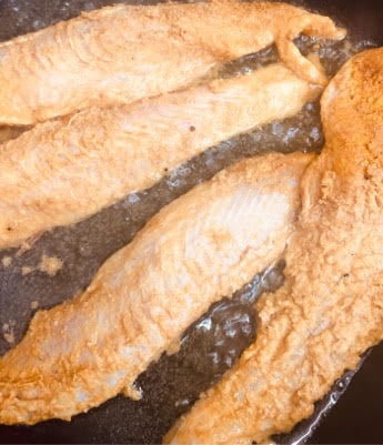 Fish being shallow fried