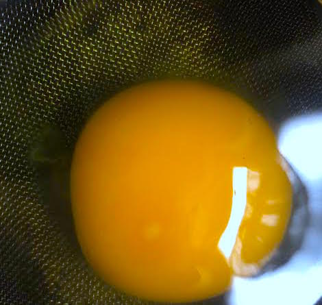 Egg in fine mesh strainer