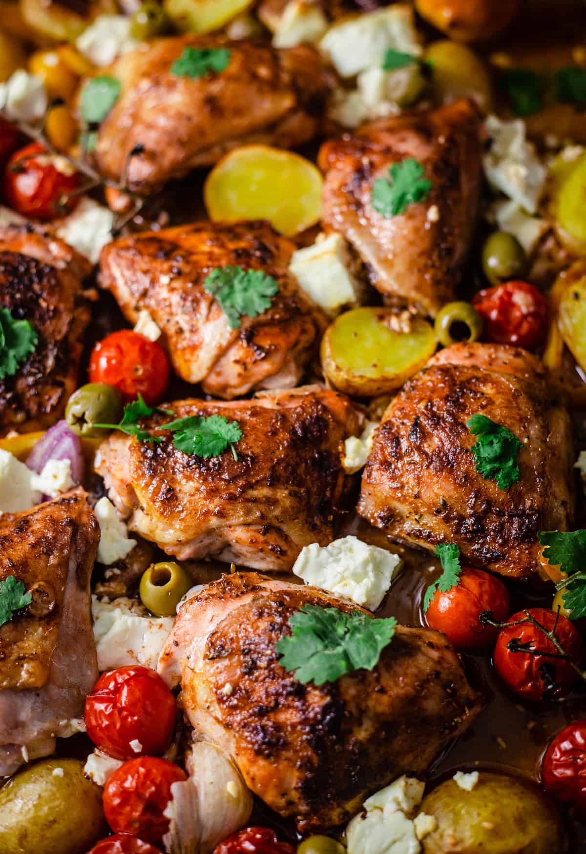 Mediterranean Chicken and Vegetables in a baking tray