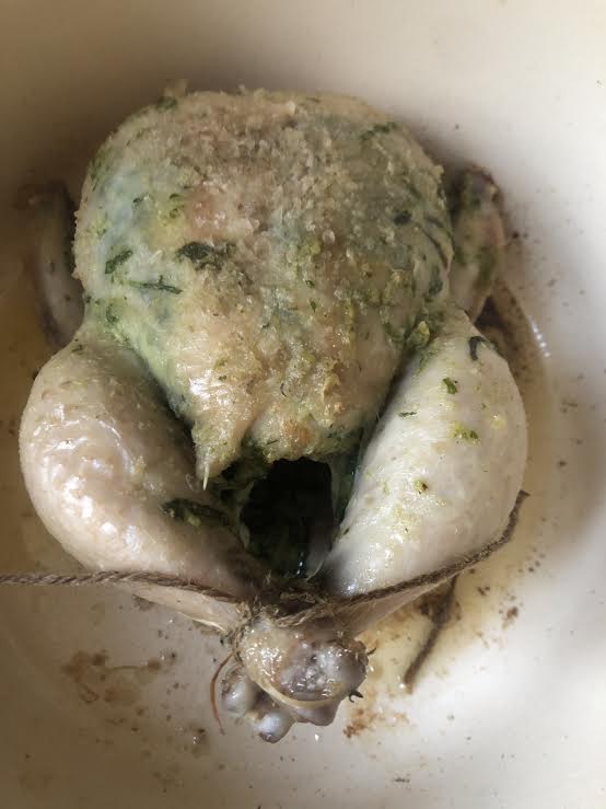 Chicken in pot with legs tied and marinade all over