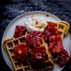 Cardamom and Cinnamon Waffles with Blood Orange Yoghurt and pieces of blood oranges on a plate on a grey background dusted with icing sugar