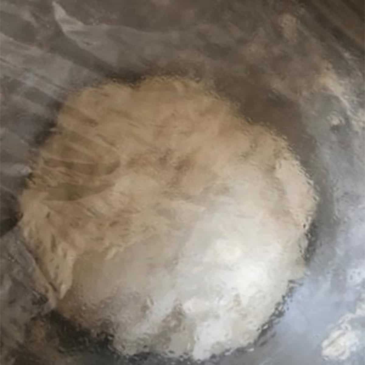 Dough in cling filmed bowl