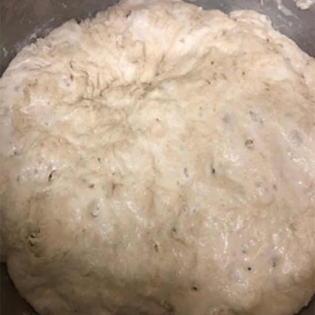 Dough with bubbles in bowl