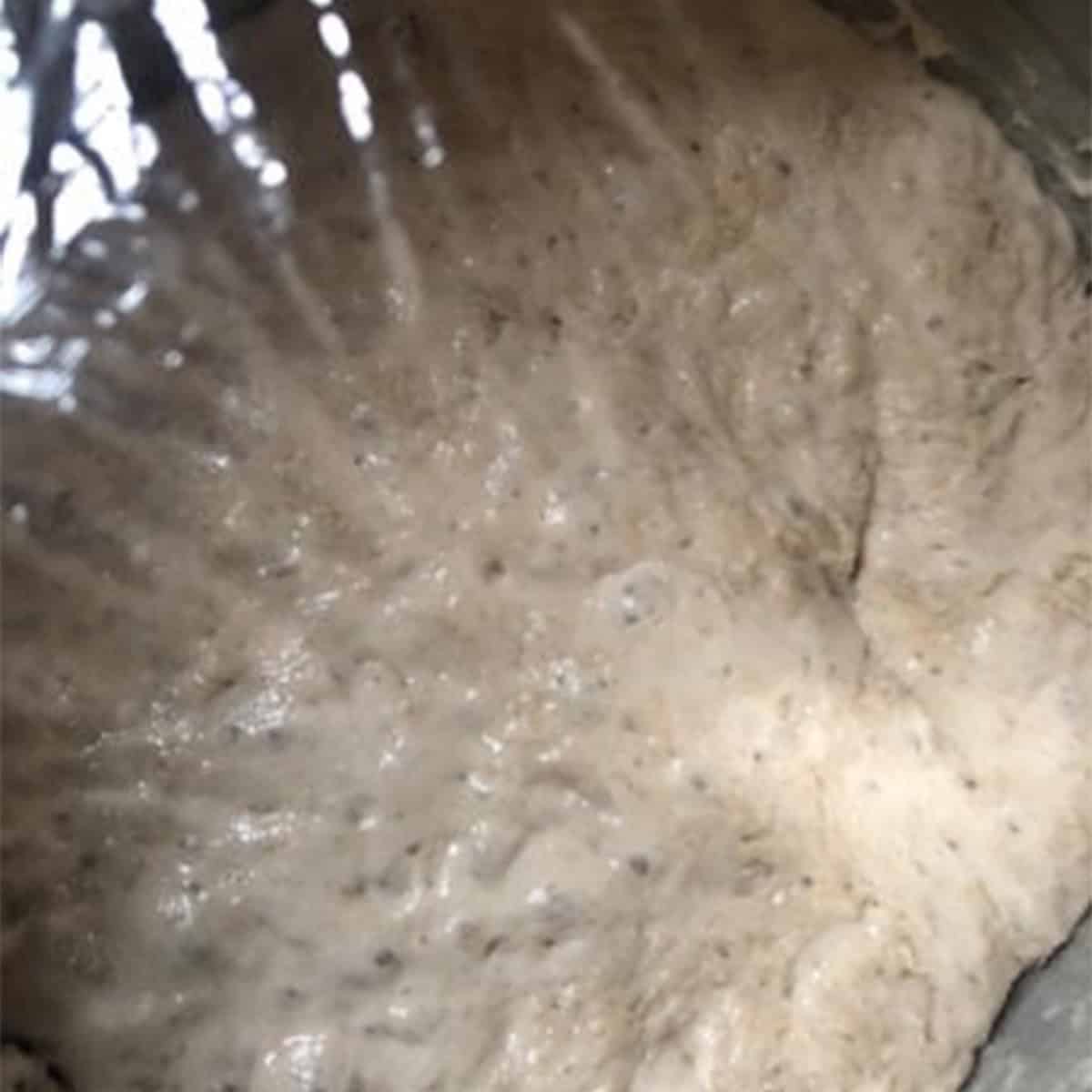Cling filmed bread dough in bowl