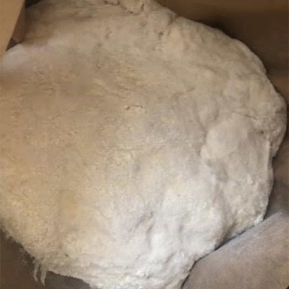 Bread dough in pot