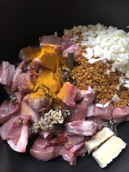 Lamb, turmeric, dagar na pool, spices, frozen garlic and ginger, onions and dal in pot