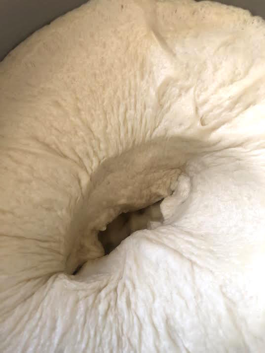 Dough with punch shape in middle
