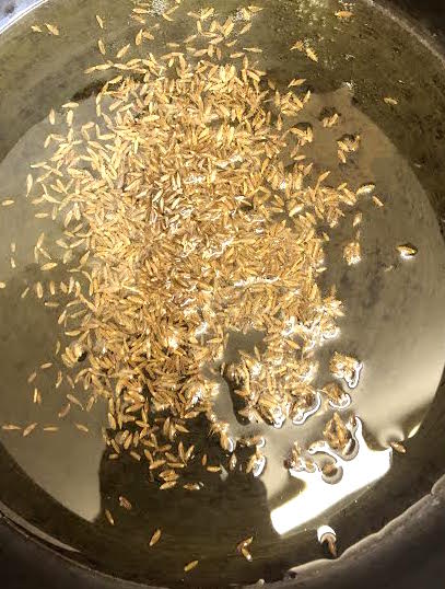 Cumin Seeds in oil in pot