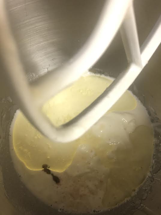 Yoghurt, Milk, Vanilla in bowl of stand mixer