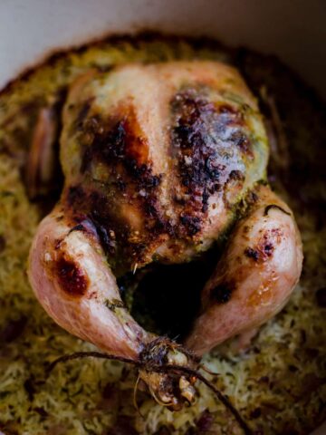 Roast Chicken and Rice in a pot