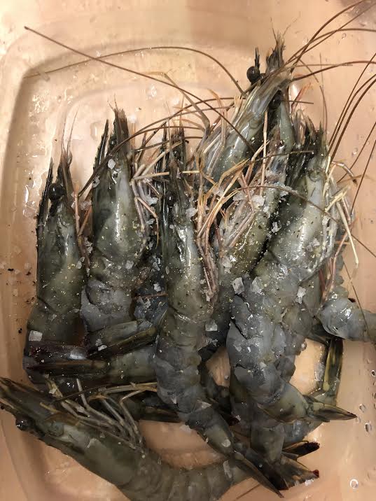 Cleaned Prawns in a dish with salt on top