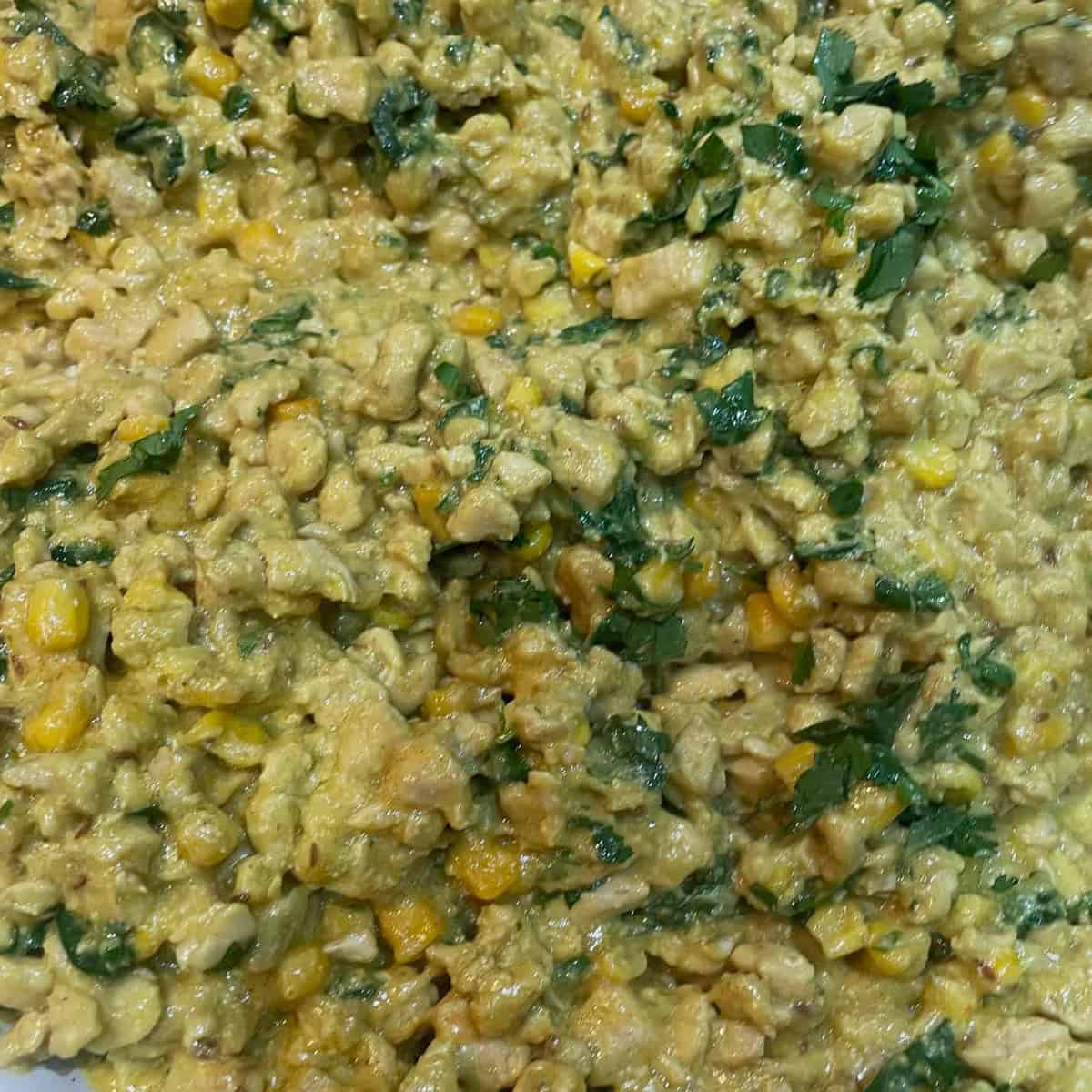 Chicken filling in plate