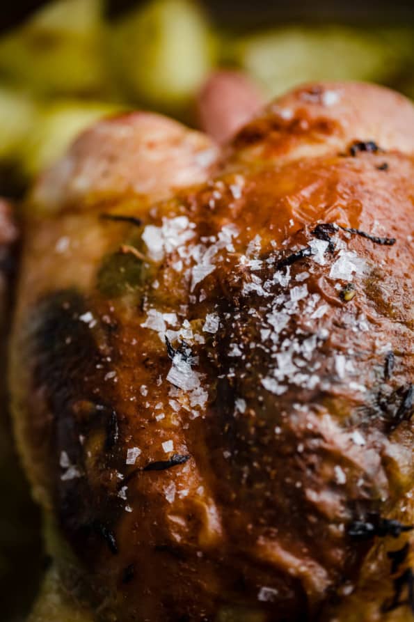 Greek Roast Chicken on potatoes in tin