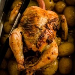 Roast Chicken and Potatoes in a large pan