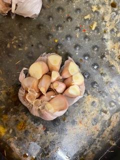 Garlic in tray with stock