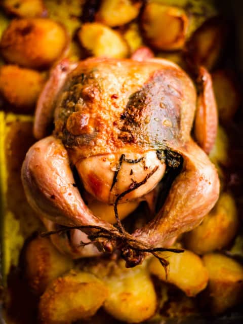 Roast Chicken with Crunchy Roast Potatoes in a tray