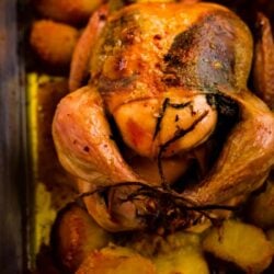 Roast Chicken and roast potatoes in a tin