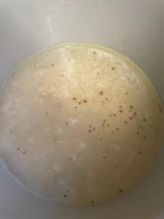 Cumin, Rice and Water in inner pot of foodi