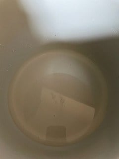 Water in inner pot of foodi