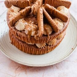 Biscoff cake with cream cheese frosting and biscuits on a plate