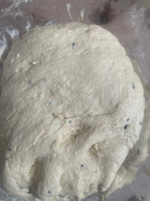 Kneaded Dough in bowl