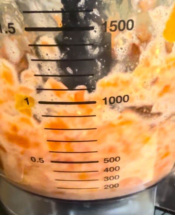 Tomatoes in blender