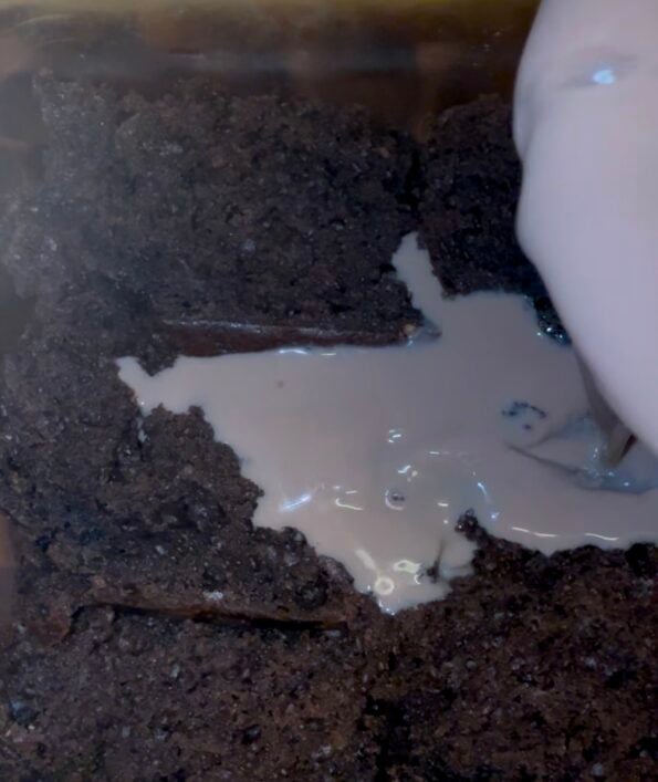 Cake with Chocolate Milk in dish