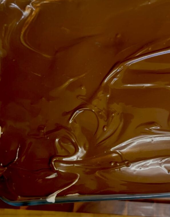 Chocolate layer on top of Cream layer in dish