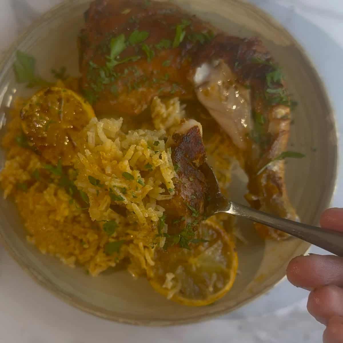 Chicken and rice in plate