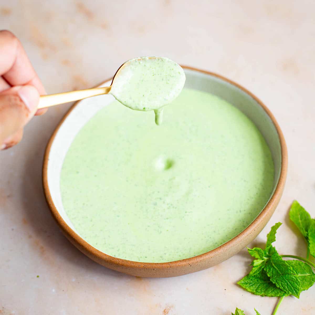 Mint raita in bowl