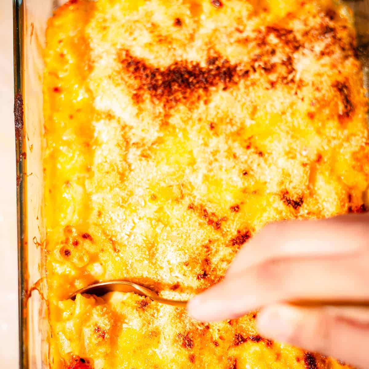 Butter Chicken Mac and Cheese in dish