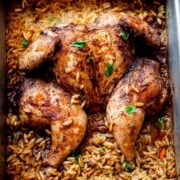 Kabsa spatchcock chicken on orzo