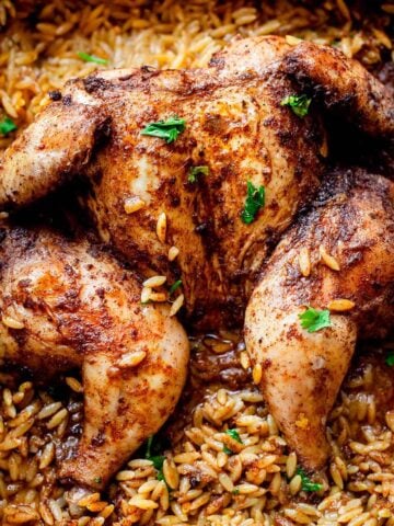 Kabsa spatchcock chicken on orzo