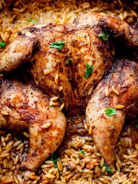 Kabsa spatchcock chicken on orzo