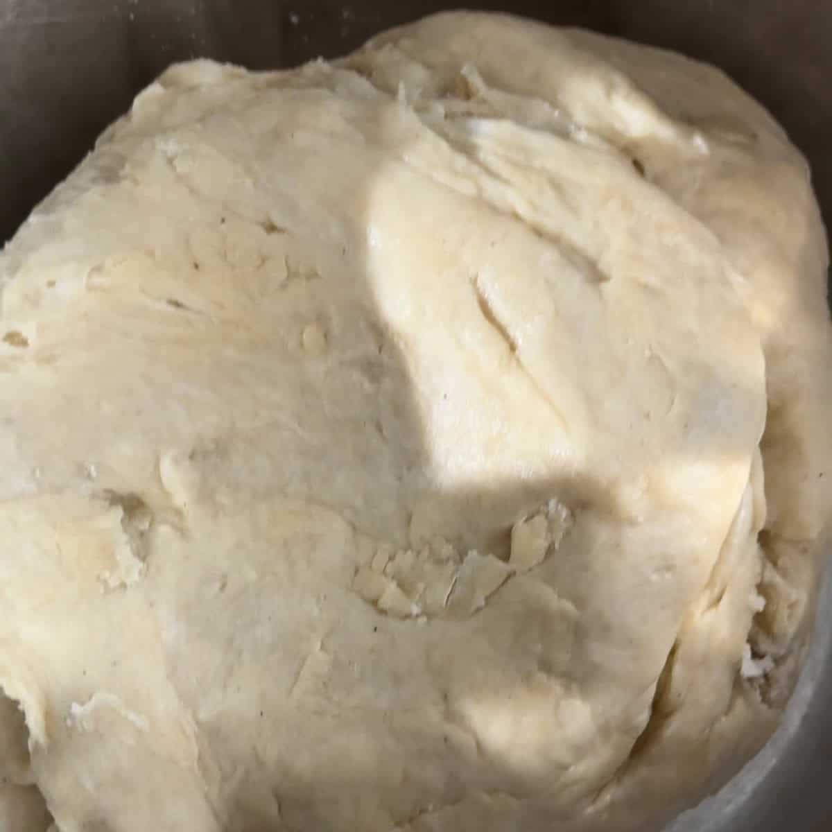 Kneaded dough in bowl